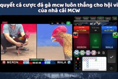 MCW – Top Đầu Địa Điểm Trải Nghiệm Cá Cược Đá Gà Mcw Thú Vị 