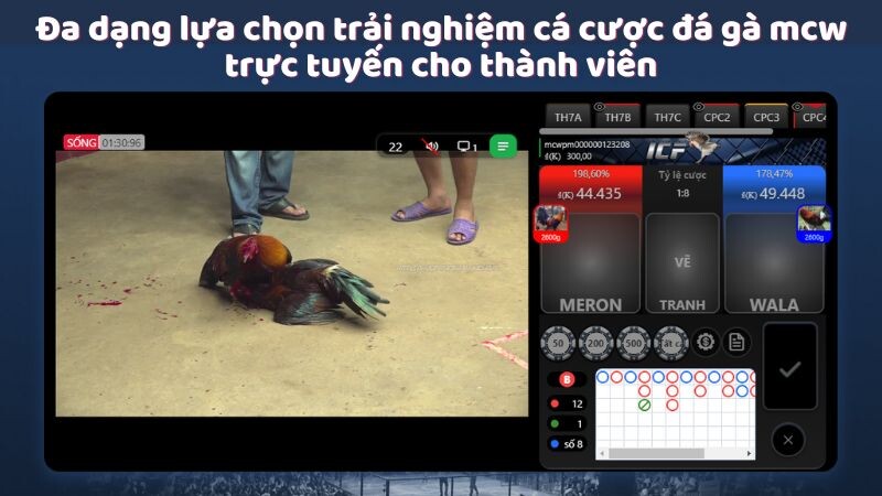 Đa dạng lựa chọn trải nghiệm cá cược đá gà mcw trực tuyến cho thành viên