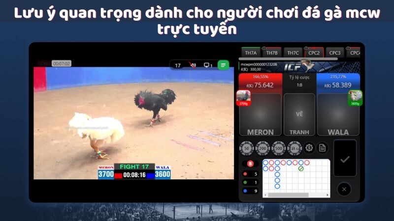 Lưu ý quan trọng dành cho người chơi đá gà mcw trực tuyến